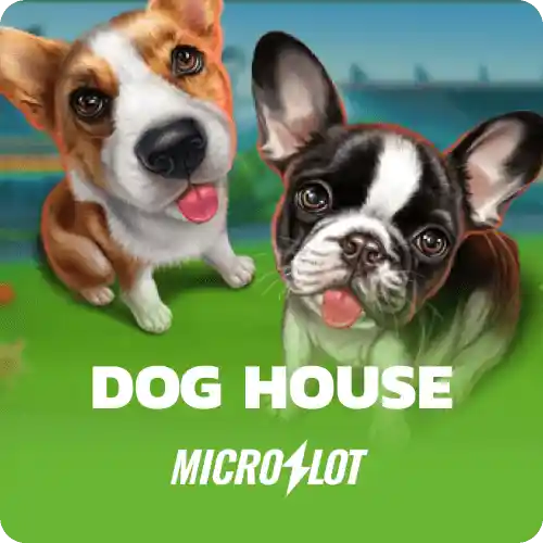 Doghouse